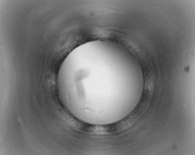 X0000093720518200710231134