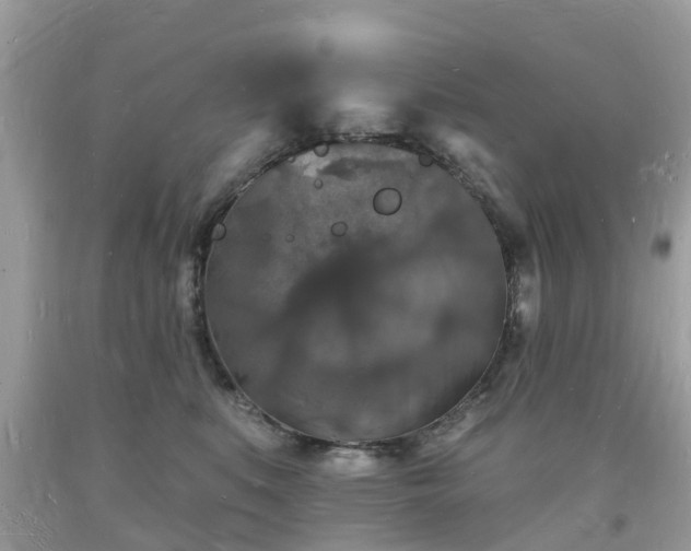 X0000093720519200710231134
