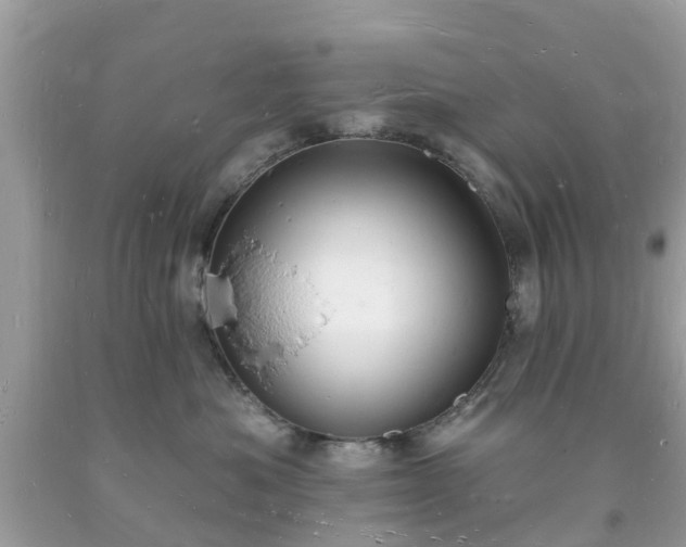 X0000093720525200710231134