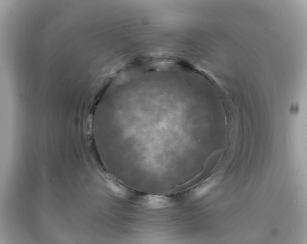 X0000093720528200710231134