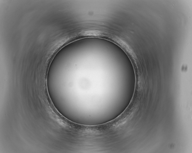 X0000093720529200710231134