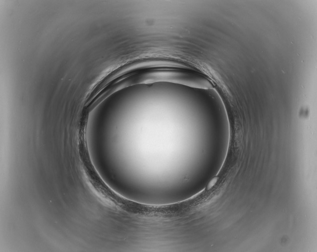 X0000093720530200710231134