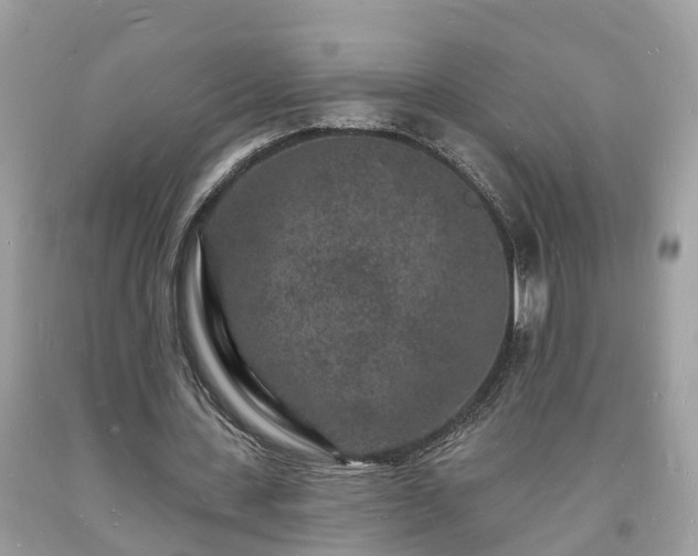 X0000093720531200710231134