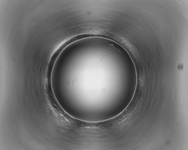 X0000093720532200710231134