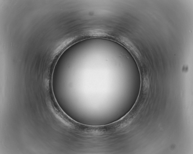 X0000093720533200710231134