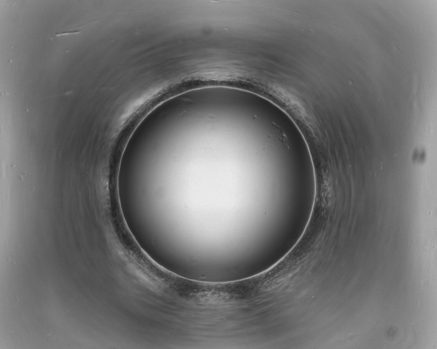 X0000093720535200710231134