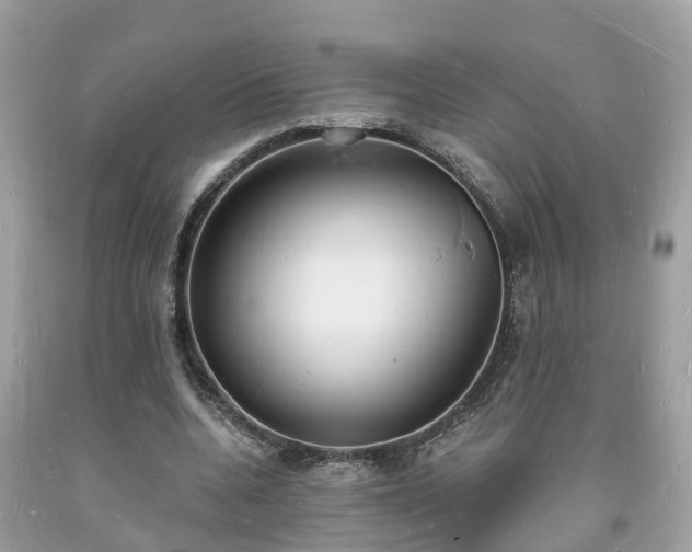 X0000093720536200710231134