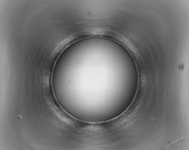 X0000093720537200710231134