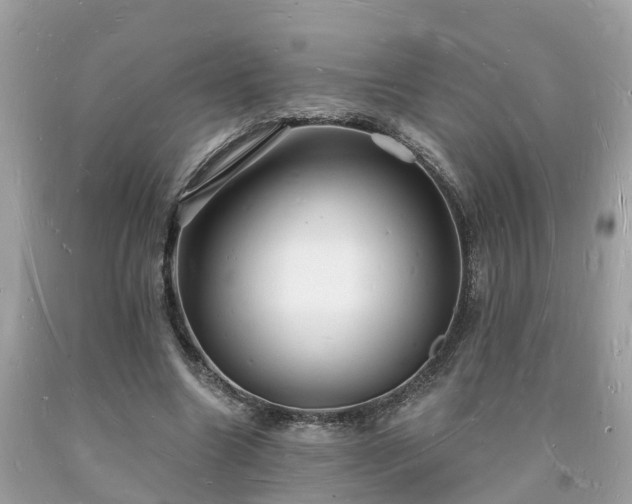 X0000093720538200710231134