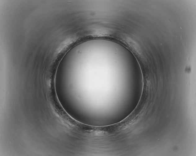 X0000093720539200710231134