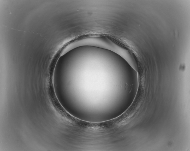 X0000093720540200710231134