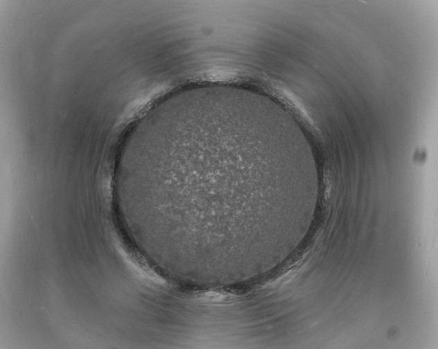 X0000093720542200710231134