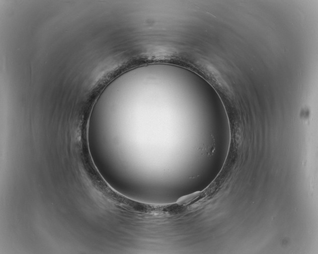 X0000093720543200710231134