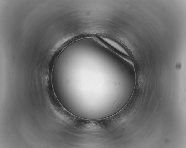 X0000093720544200710231134