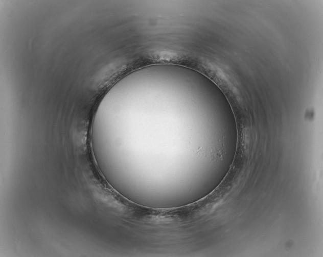 X0000093720545200710231134