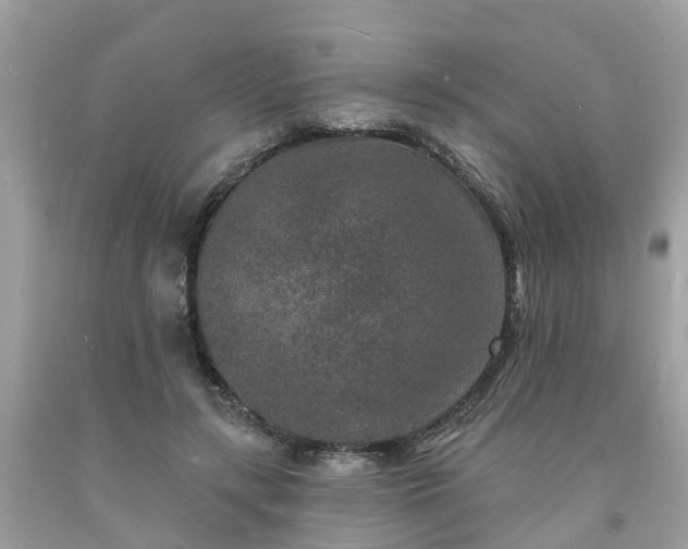 X0000093720547200710231134
