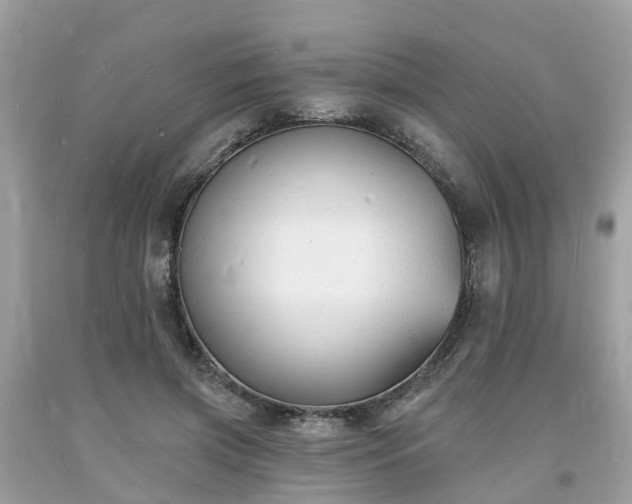 X0000093720549200710231134
