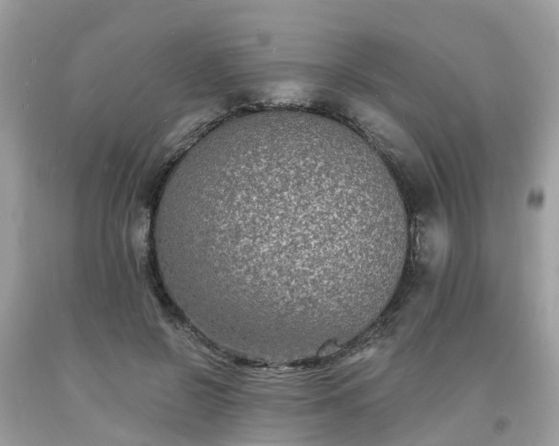 X0000093720550200710231134