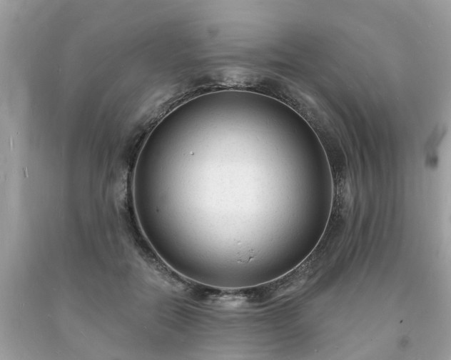 X0000093720554200710231134