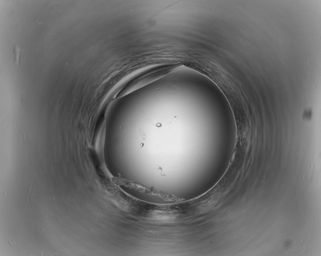X0000093720556200710231134