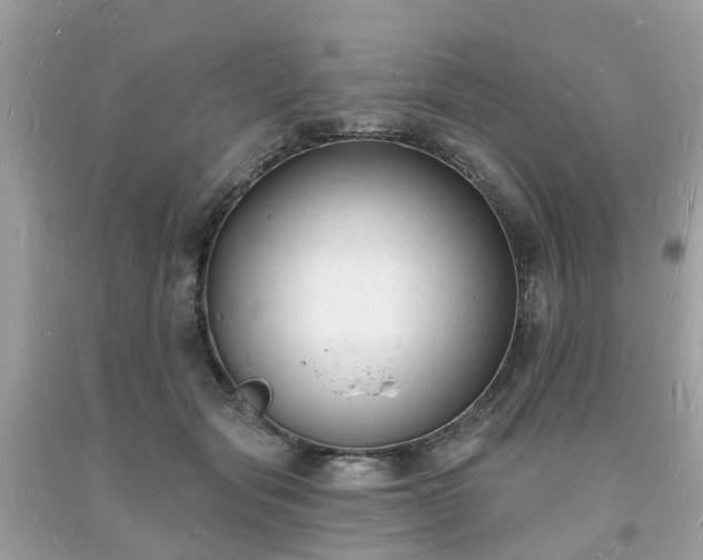 X0000093720557200710231134