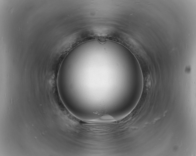 X0000093720559200710231134