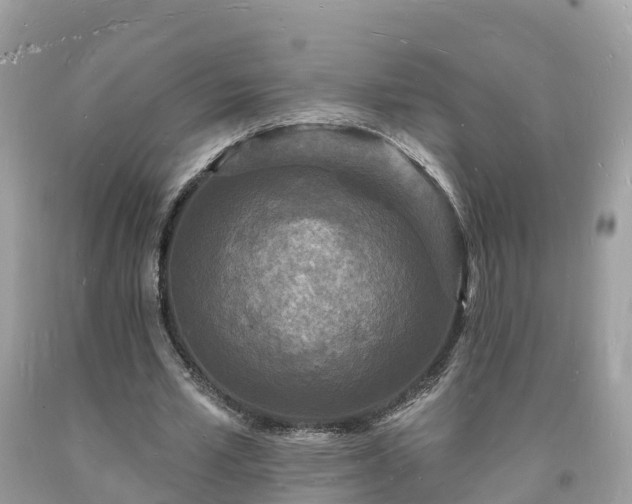 X0000093720581200710231133