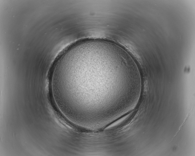 X0000093720584200710231133
