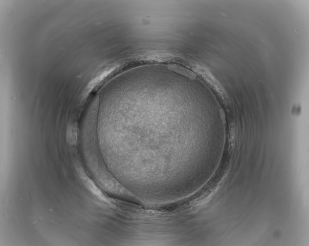 X0000093720585200710231133