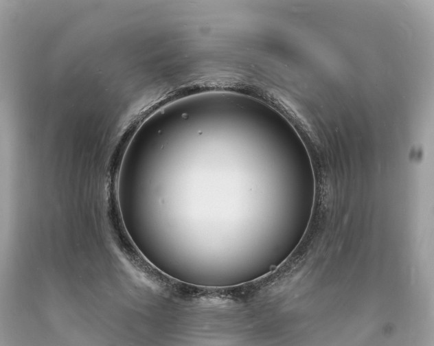 X0000093720586200710231133