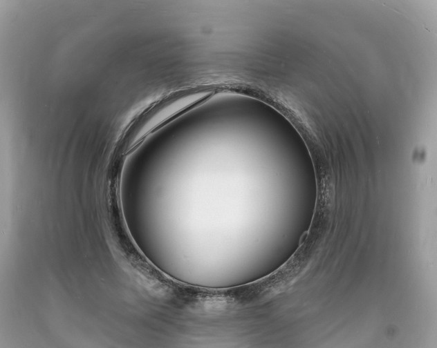 X0000093720587200710231133