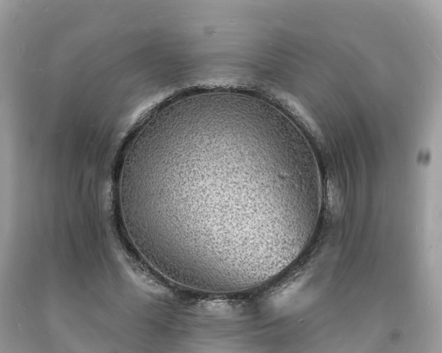 X0000093720588200710231133