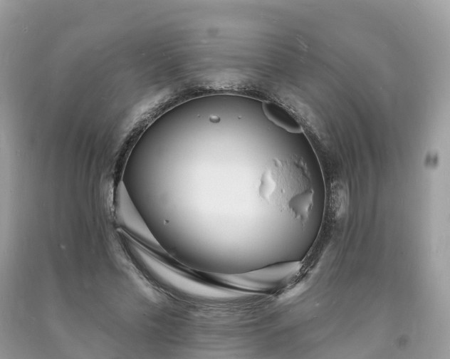 X0000093720589200710231133
