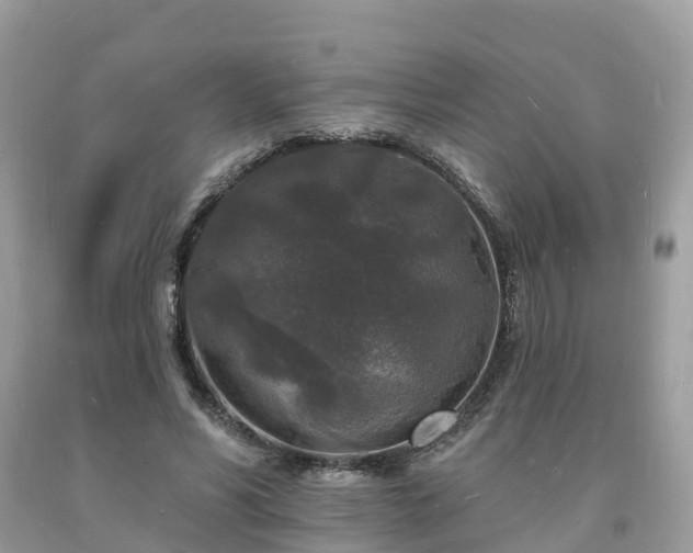 X0000093720590200710231133