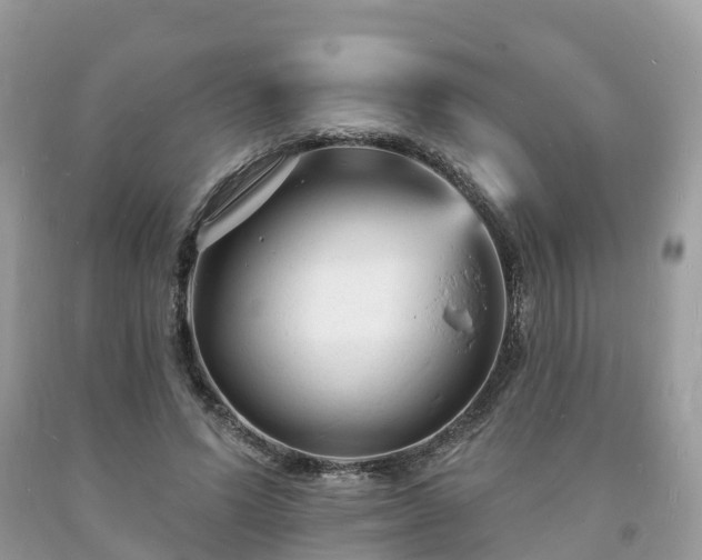 X0000093720591200710231133