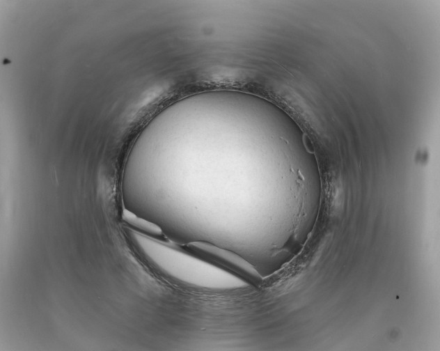 X0000093720593200710231133