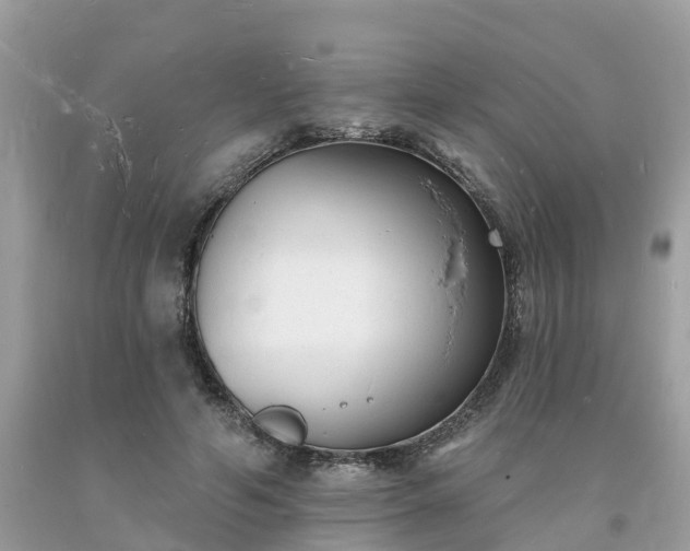 X0000093720594200710231133