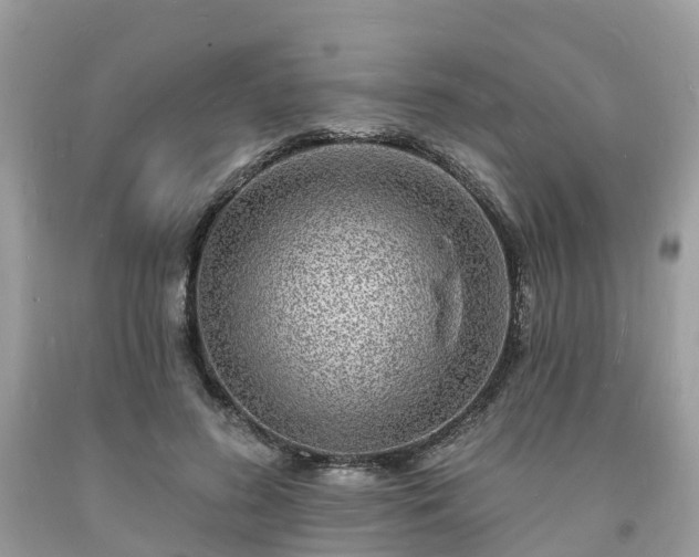 X0000093720596200710231133