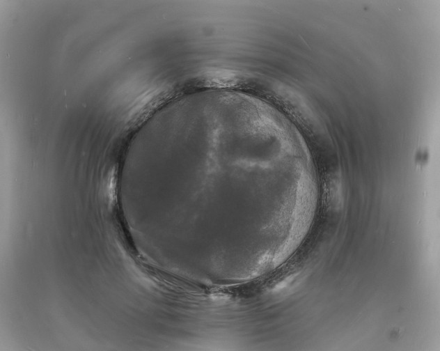 X0000093720598200710231133