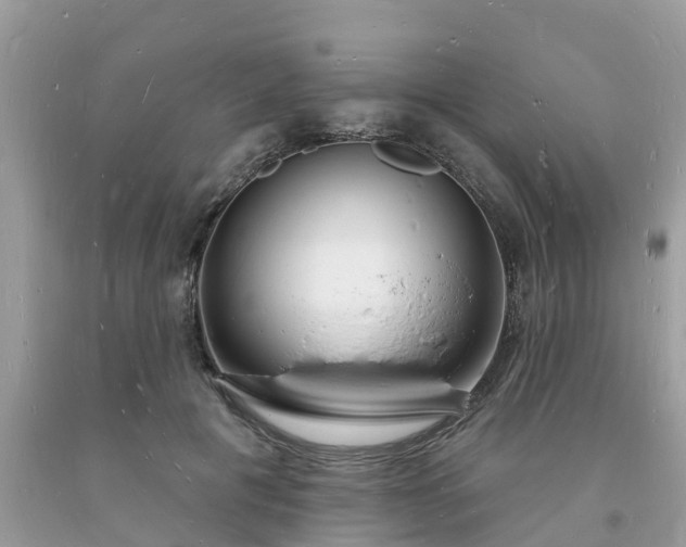 X0000093720601200710231133
