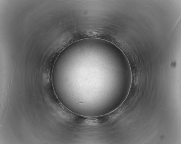 X0000093720606200710231133