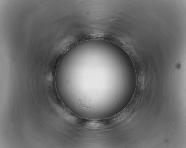 X0000093720614200710231133