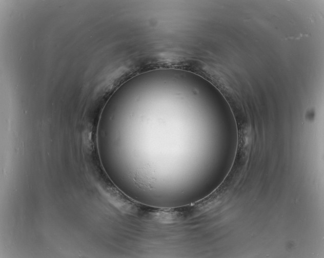 X0000093720615200710231133
