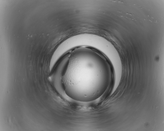X0000093720621200710231133
