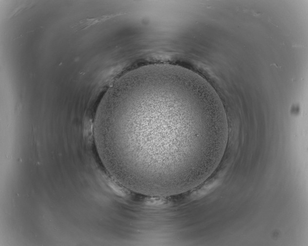 X0000093720624200710231133