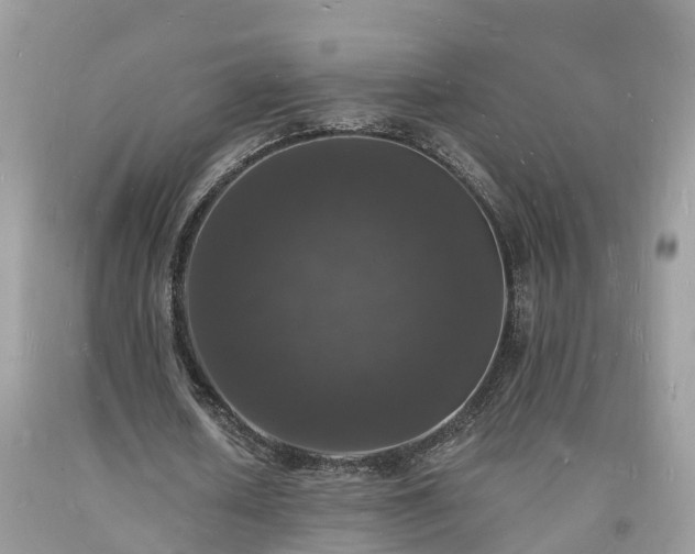 X0000093720626200710231132