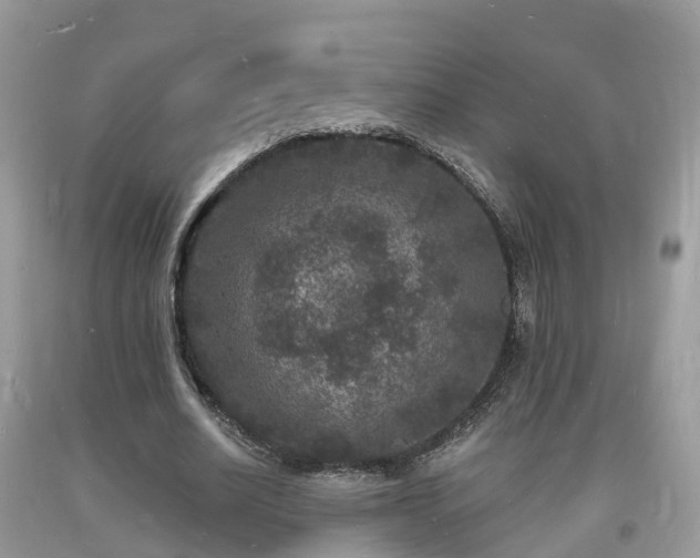 X0000093720630200710231132