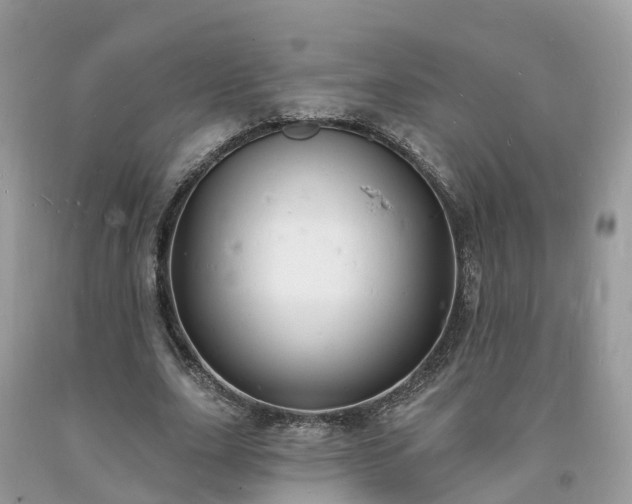 X0000093720631200710231132