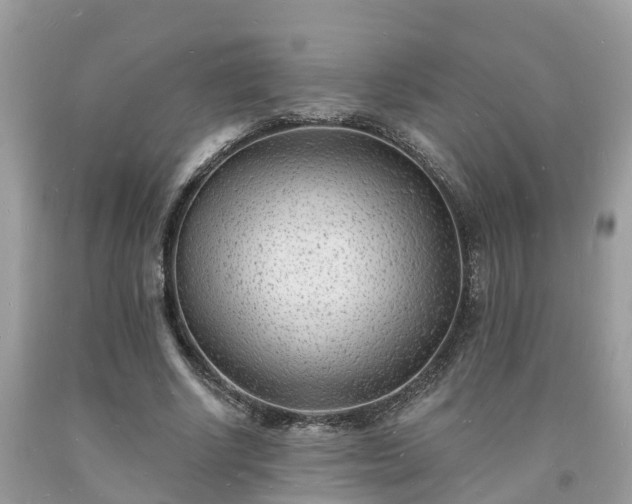 X0000093720634200710231132