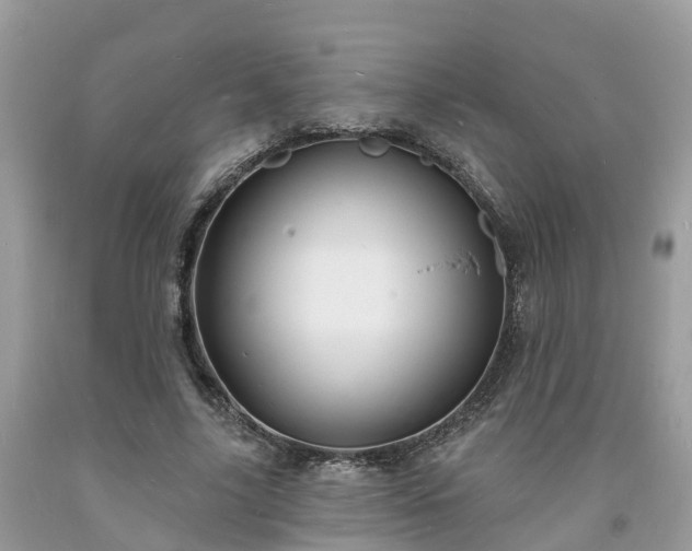 X0000093720635200710231132
